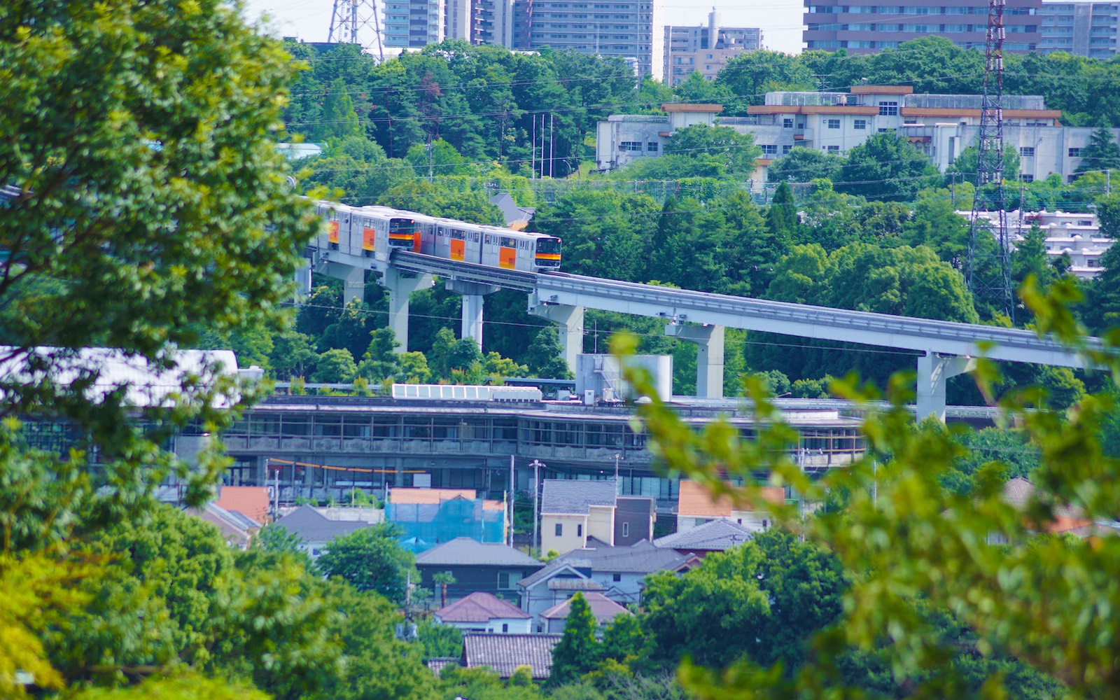 Thành phố Musashino thuộc ngoại ô Tokyo, chỉ cách trung tâm một tiếng di chuyển. musashino